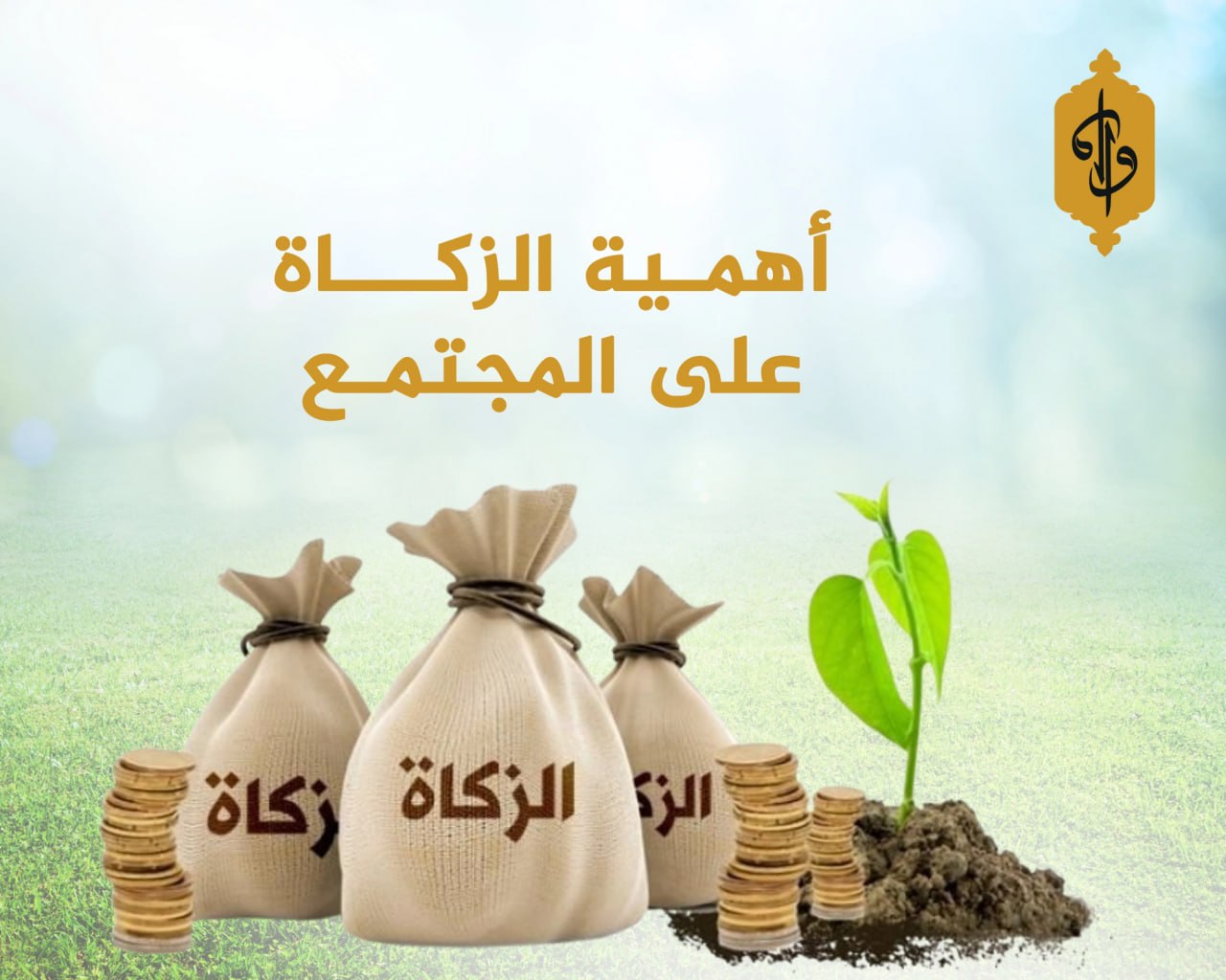 ahmy-alzka-aal-almgtmaa