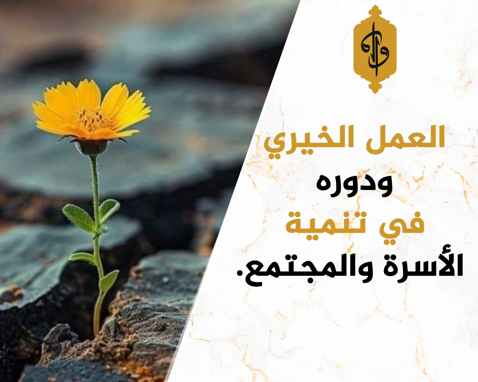 alaaml-alkhyry-odor-fy-tnmy-alasr-oalmgtmaa-1